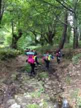 Educacin Secundaria - 4 ESO: Camino de Santiago