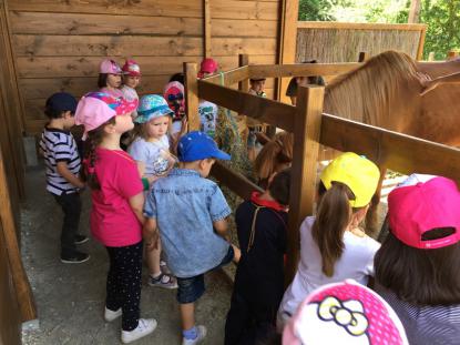 5 de infantil viaja a Fervenza do Toxa - Foto 1