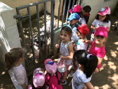 5 de infantil viaja a Fervenza do Toxa - Foto 2