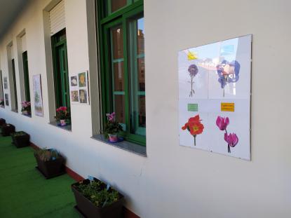 A HORTA DOS CATIVOS - Foto 4