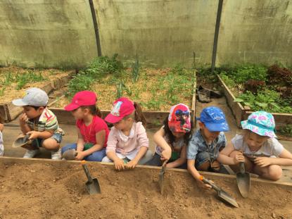 5 de infantil viaja a Fervenza do Toxa - Foto 6