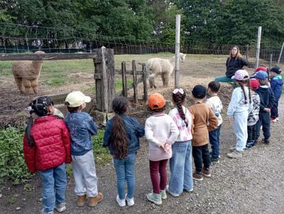 EXCURSIN INFANTIL - Foto 10