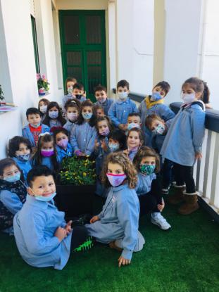 A HORTA DOS CATIVOS - Foto 15