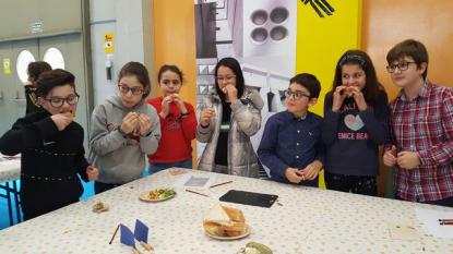 Visita de 5 de Primaria a Xantar - Foto 13