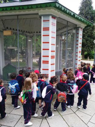 Salida 4 Infantil al Jardn del Poso - Foto 5