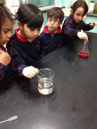 Proyecto "Agua y el aire" 1 de Primaria - Foto 1