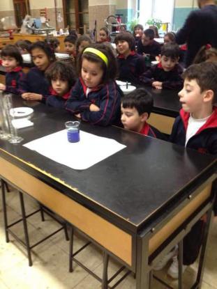 Proyecto "Agua y el aire" 1 de Primaria - Foto 4