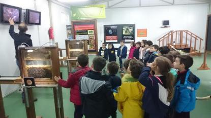 Viaje cultural 6 Infantil - Foto 5