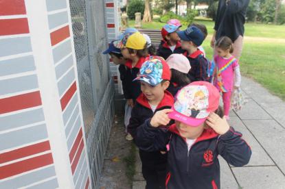 Visita Jardn Poso 4 Infantil - Foto 5
