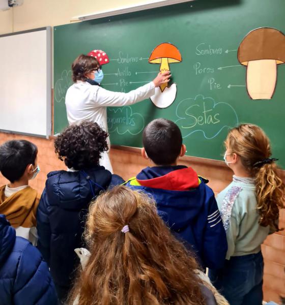 EXPOSICIN MICOLGICA 2021 - Foto