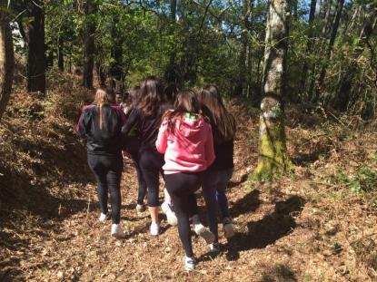 Inolvidable da entre amigos (2 ESO) - Foto 4