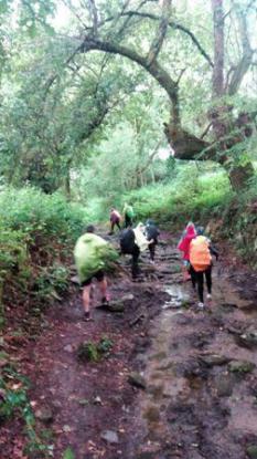 Camino de Santiago 4 ESO - Foto 6