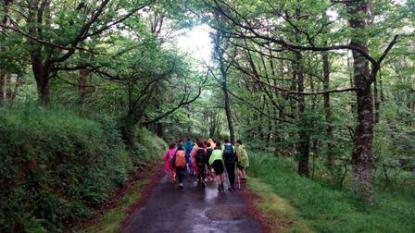 Camino de Santiago 4 ESO - Foto 17