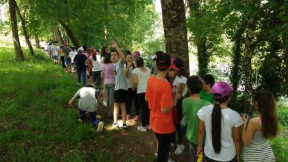 Excursin 1 ESO - Foto 23