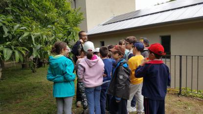 Viaje Cultural 3 y 4 de Primaria - Foto 4