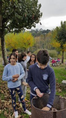 Magosto 4, 5 y 6 de Primaria - Foto 10