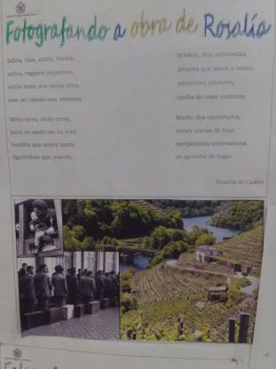 Da de Rosala - Foto 11