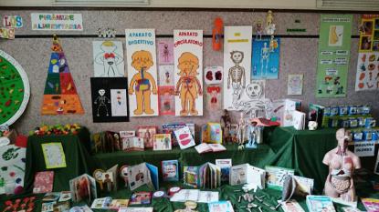 PROYECTO INFANTIL 2018 : EL CUERPO HUMANO  - Foto 3
