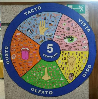 PROYECTO INFANTIL 2018 : EL CUERPO HUMANO  - Foto 5