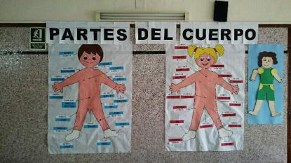 PROYECTO INFANTIL 2018 : EL CUERPO HUMANO  - Foto 6
