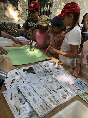 Viaje Cultural 3 Primaria  A Fbrica da Luz - Foto 9