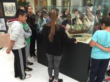 Educacin Secundaria - Visita a la exposicin "Darwin y el evolucionismo"