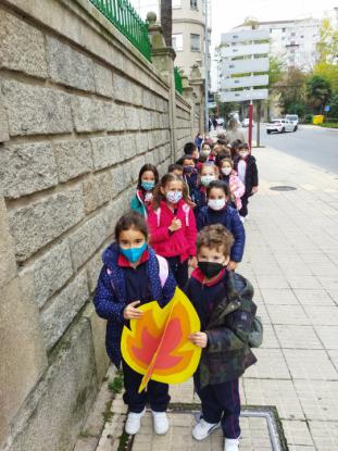 MAGOSTO PRIMARIA - Foto 2