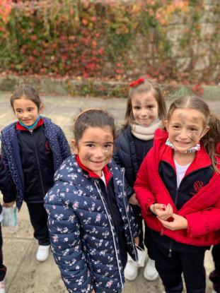 MAGOSTO PRIMARIA - Foto 10