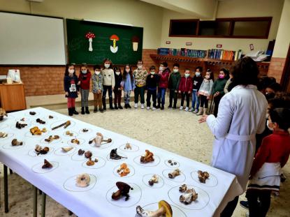 EXPOSICIN MICOLGICA 2021 - Foto 35