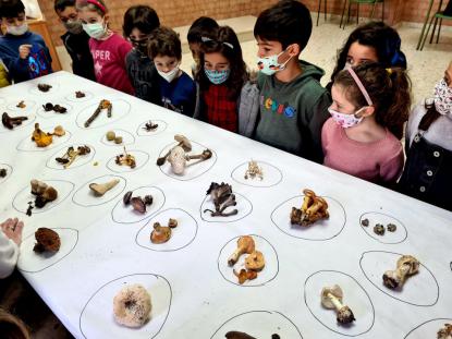 EXPOSICIN MICOLGICA 2021 - Foto 46